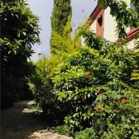 Apartamento Emplacement Ideal Et Calme